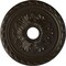 Ekena Millwork Palmetto Ceiling Medallion (Fits Canopies up to 5"), 20 7/8"OD x 3 5/8"ID x 1 5/8"P, Stone Hearth CM20PMSHF - alternate 1